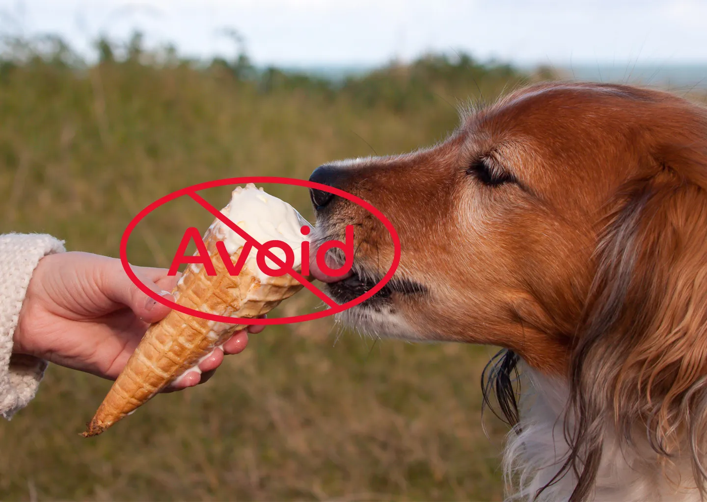 Science-Backed Guidance for Every Pet Parent