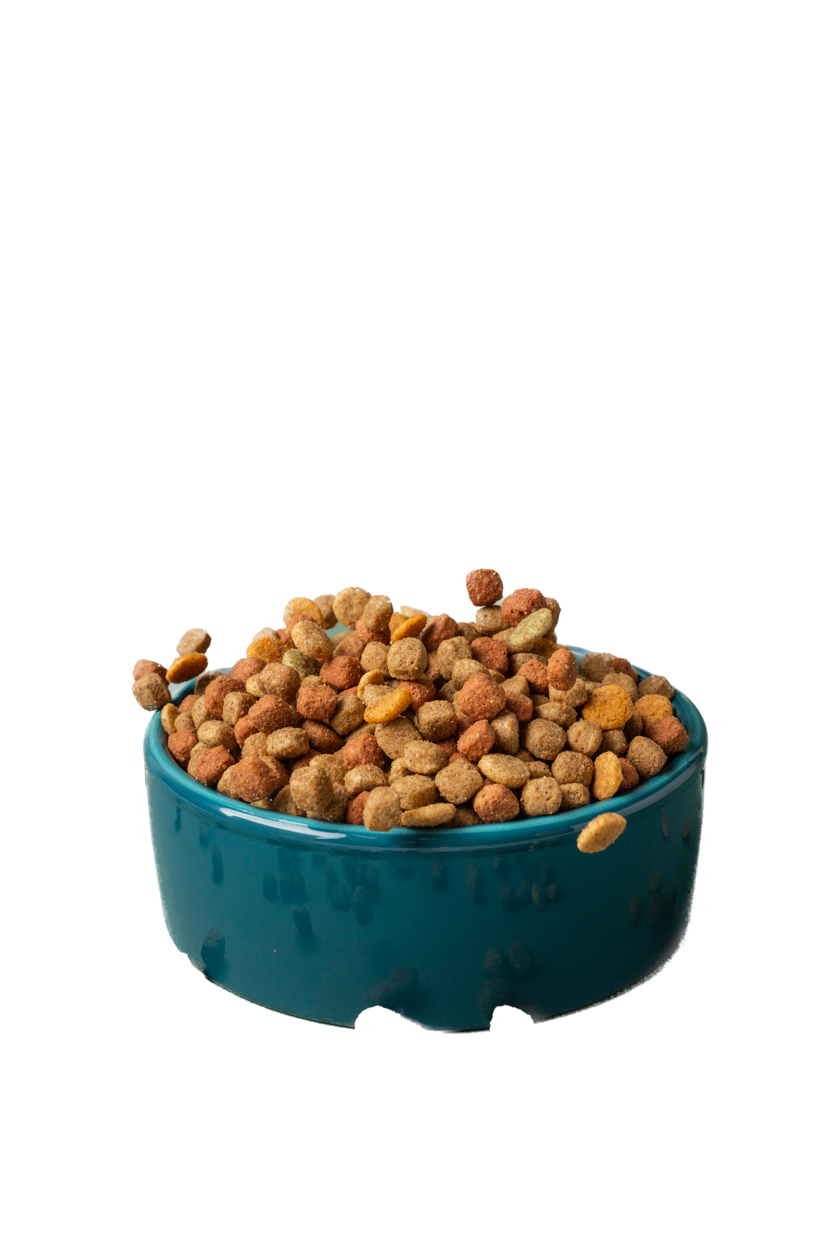 Dry Food: Puppies & Kittens.
