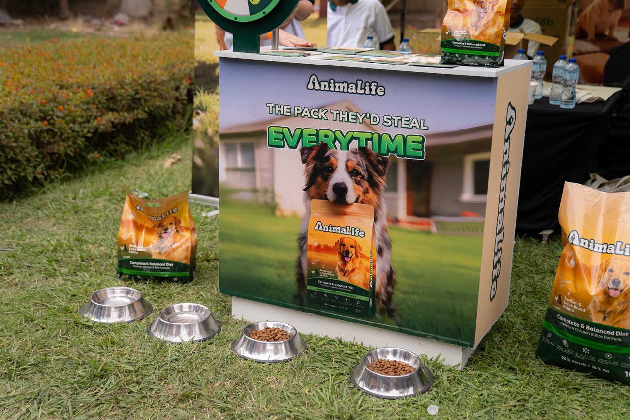 AnimaLife Pop-Up Booth