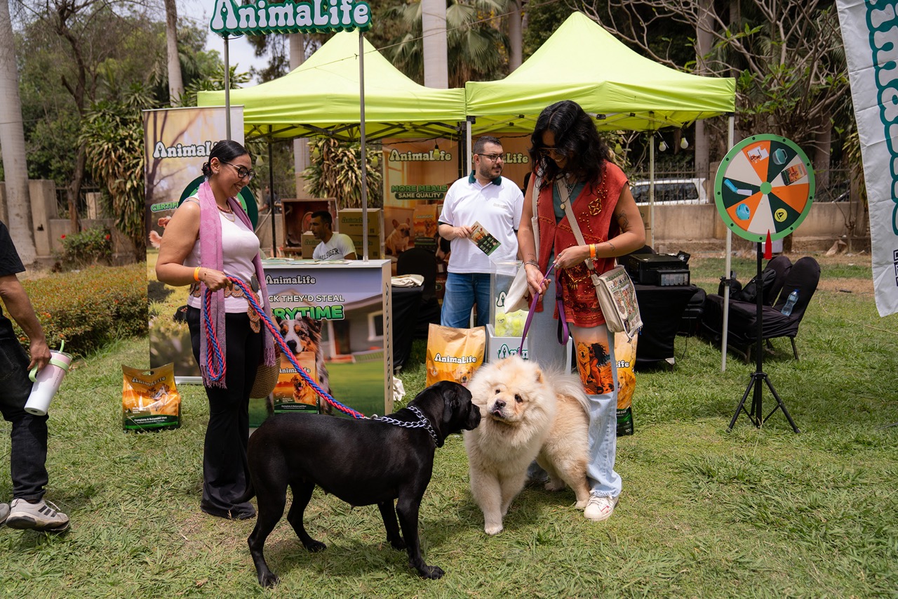 Meeting Our Furry Friends