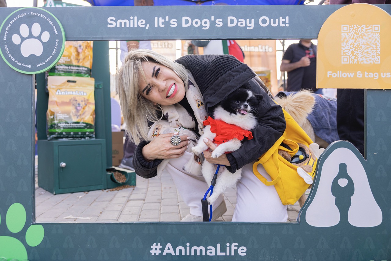 Smile, It's Dog's Day Out!