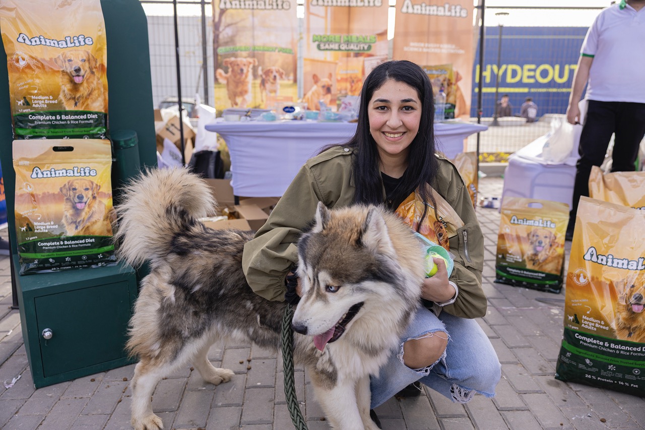 Dog's Day Out