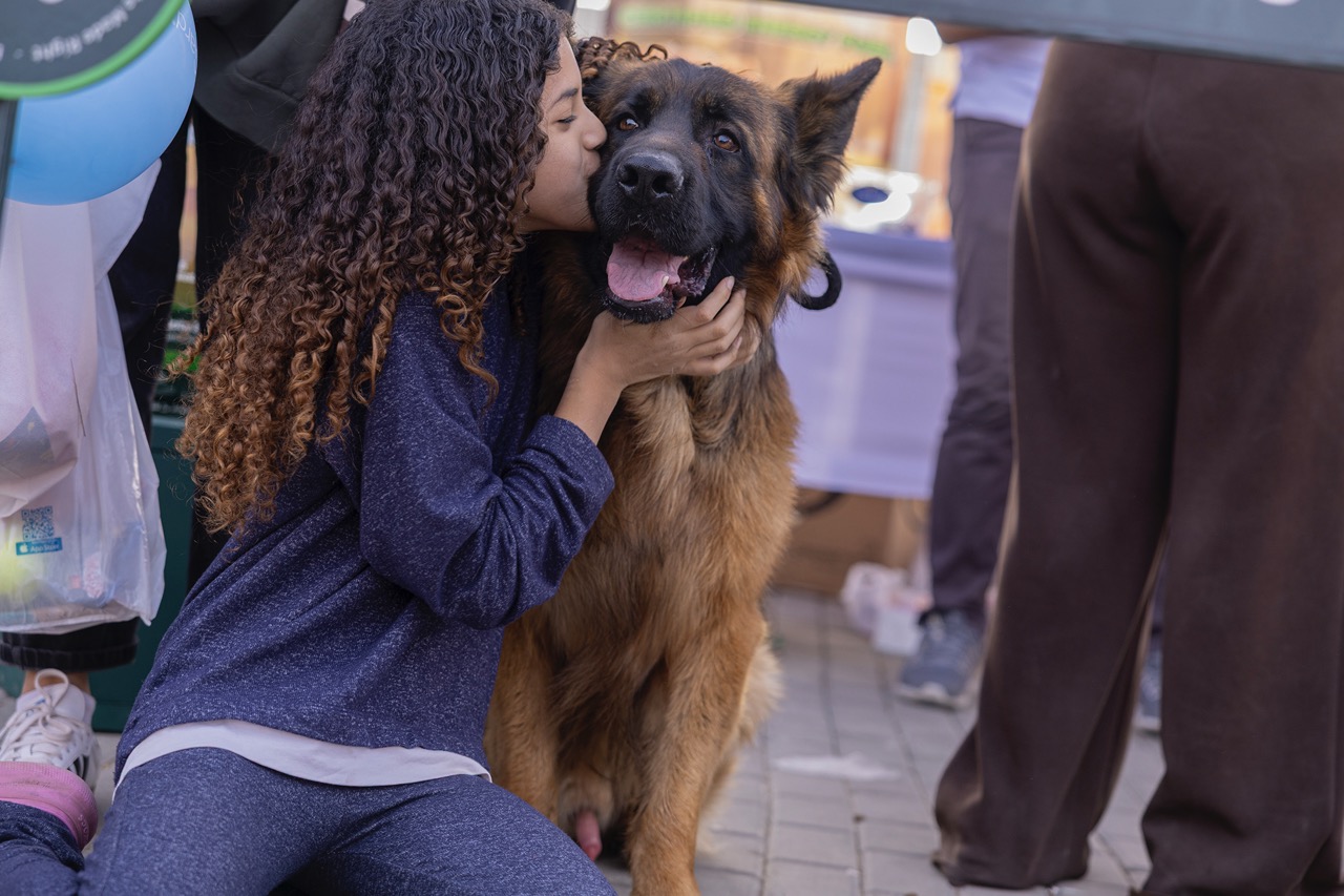 Smile, It's Dog's Day Out!