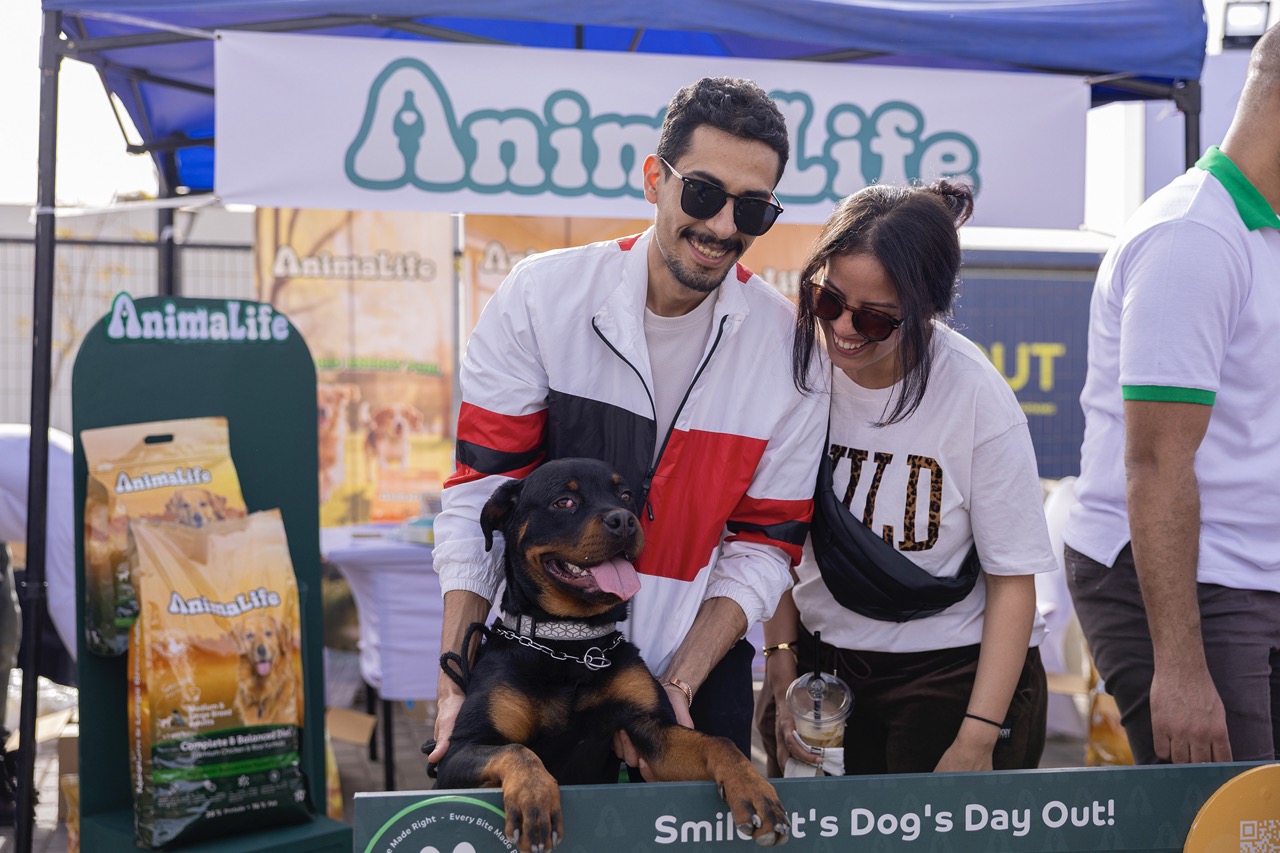 Smile, It's Dog's Day Out!