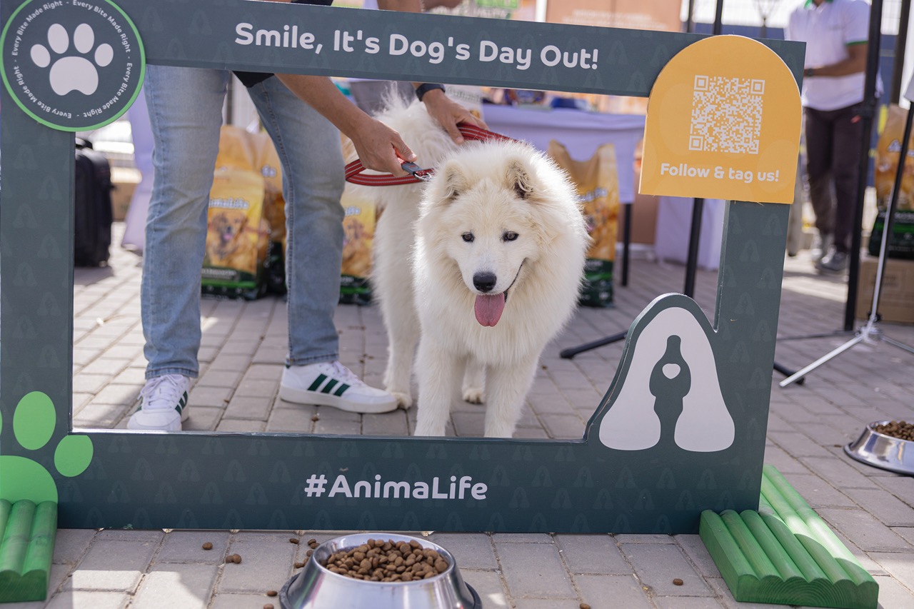 Smile, It's Dog's Day Out!