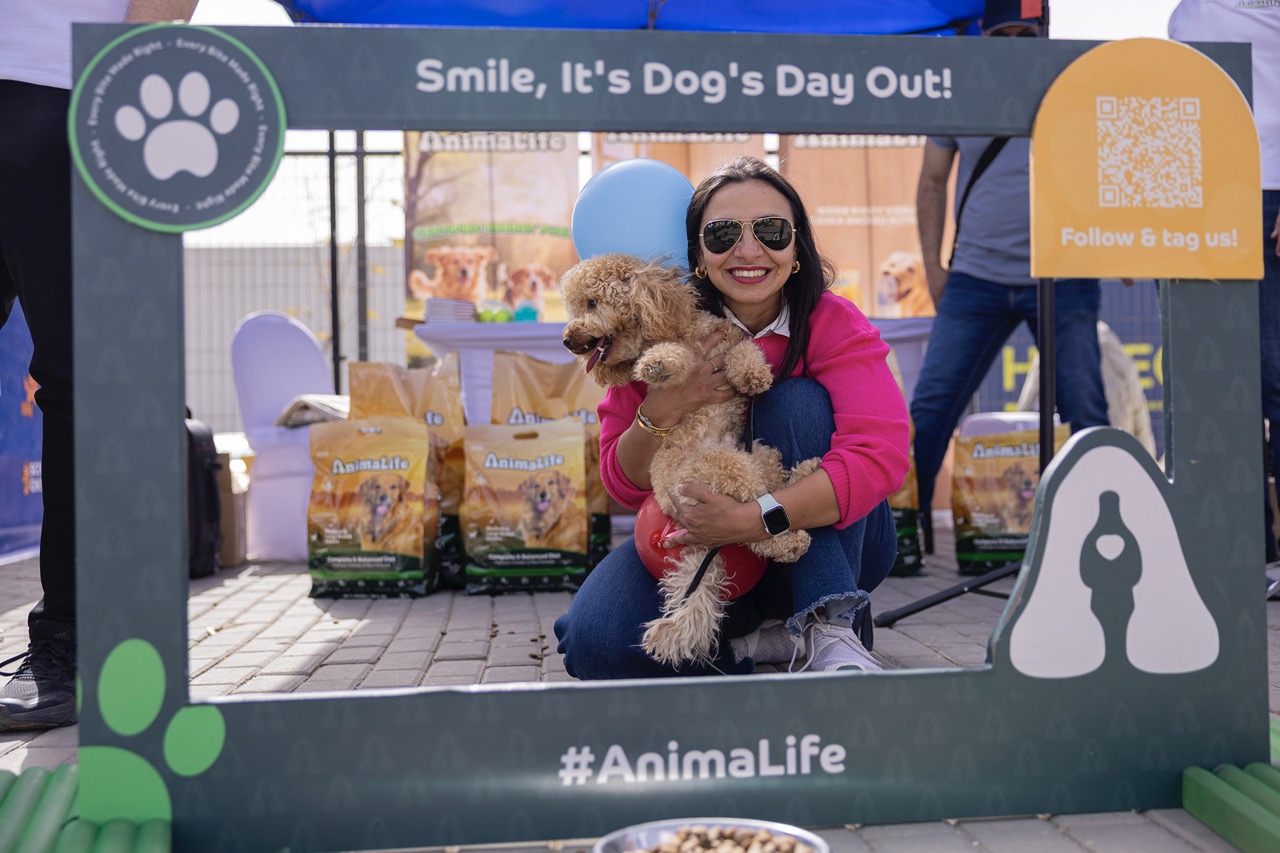 Smile, It's Dog's Day Out!