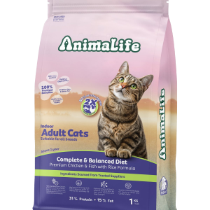 Indoor Adult Cats