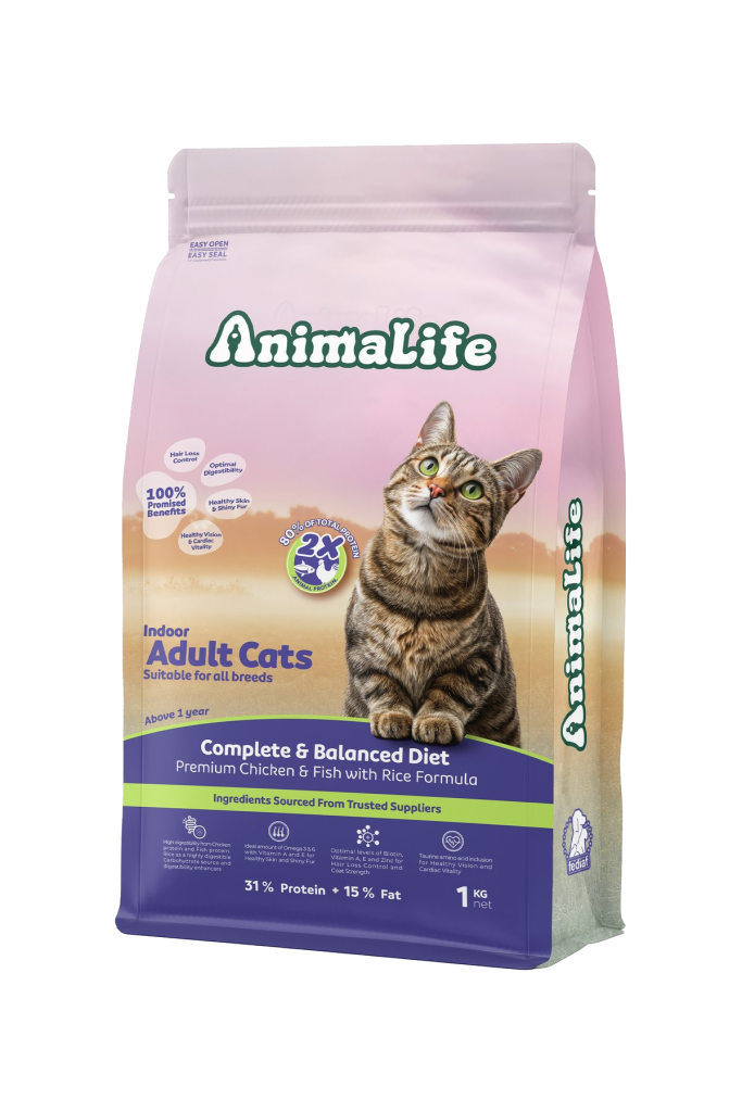 Indoor Adult Cats