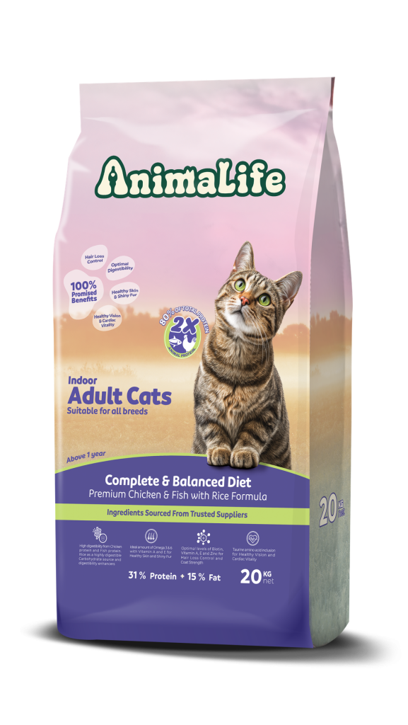 Indoor Adult Cats