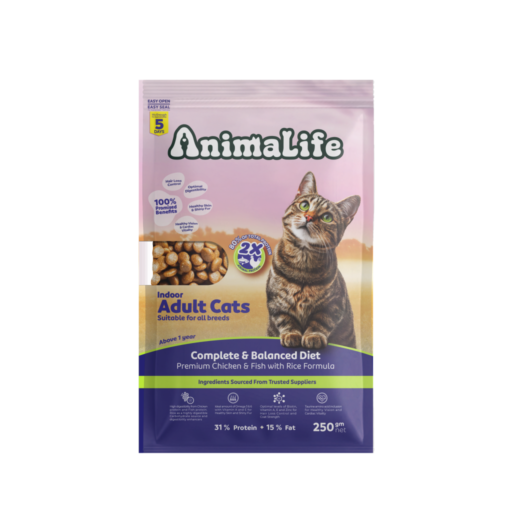 Indoor Adult Cats