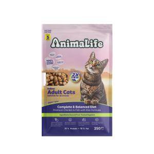 Indoor Adult Cats