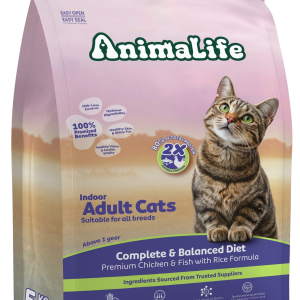Indoor Adult Cats