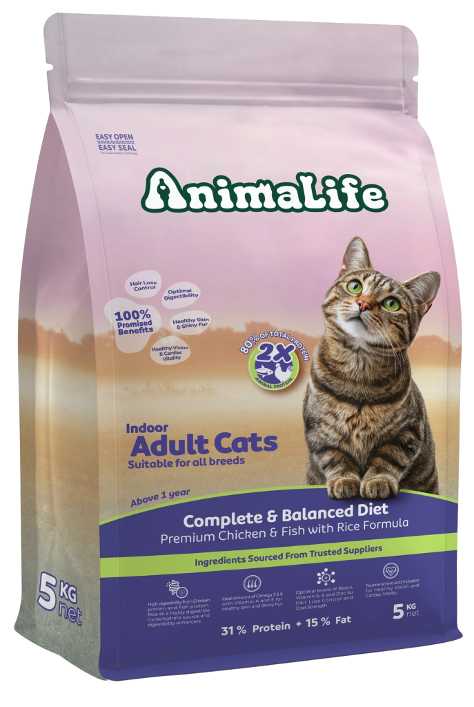 Indoor Adult Cats